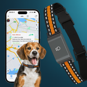Traqueur GPS pour animaux