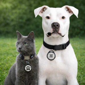 Médaillon d’identification pour animaux (X2)