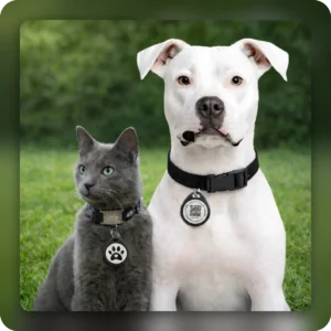 Médaillon d’identification pour animaux (X2) – Image 2