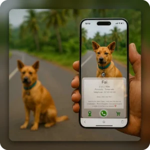 Médaillon d’identification pour animaux (X2) – Image 3