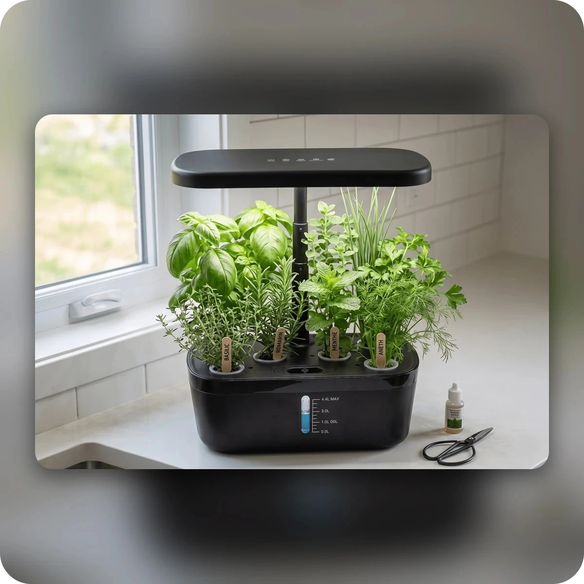 Potager hydroponique avec herbes aromatiques près d'une fenêtre