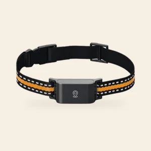 Traqueur GPS pour animaux